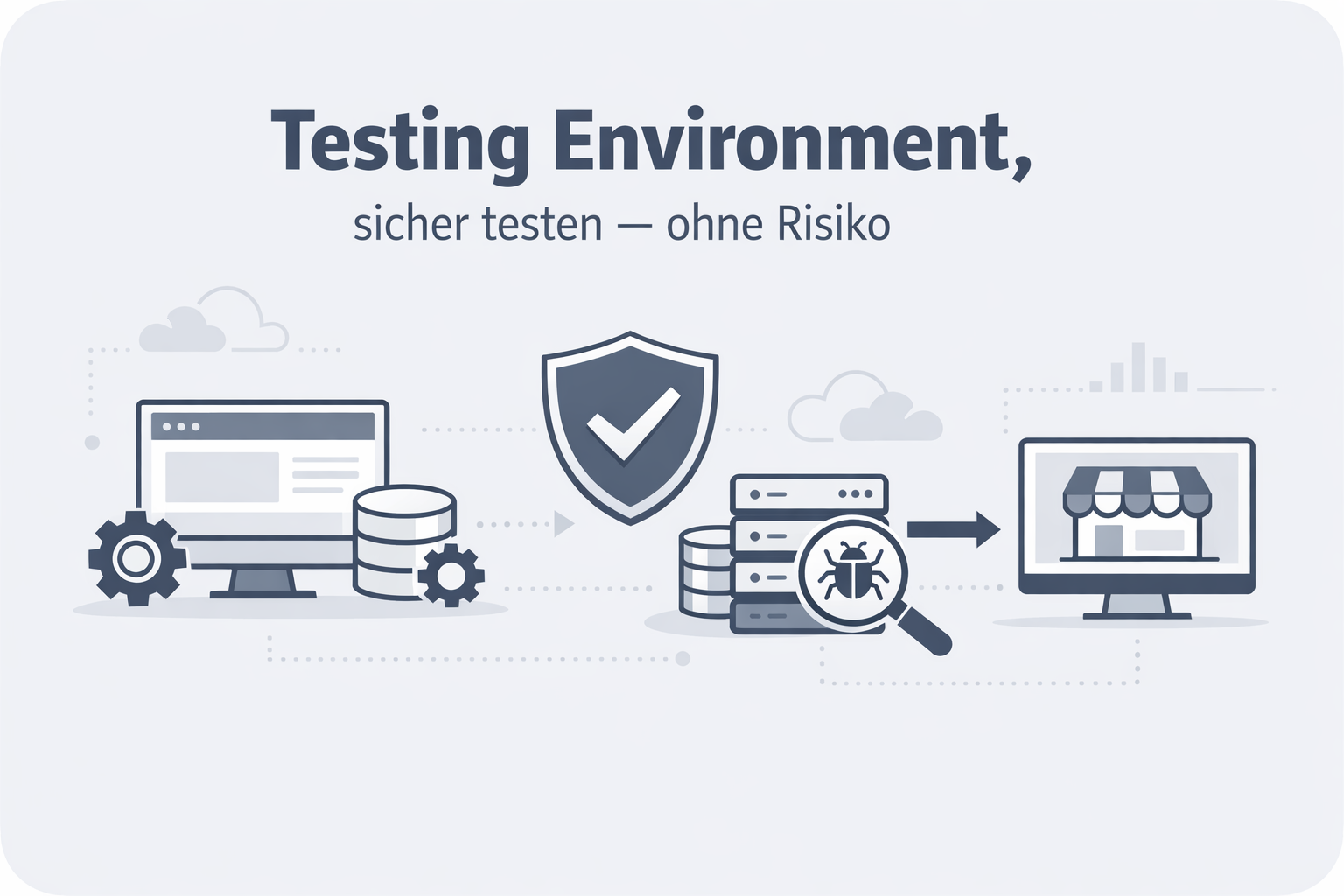 Was ist Testing Environment?