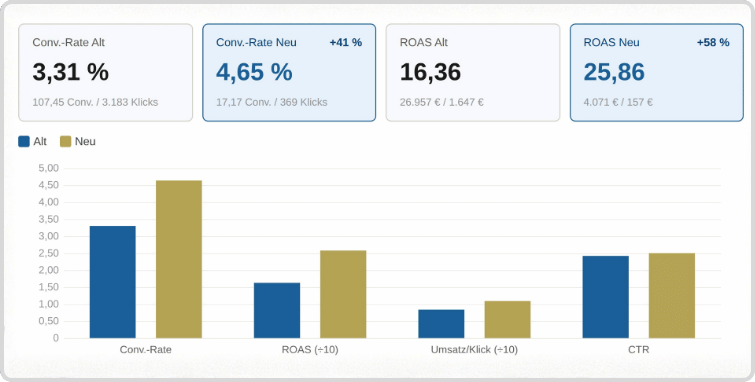 Case Study Google Ads: ROAS